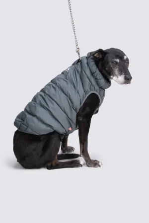 Dog Jackets>Macpac Dog Coat— L