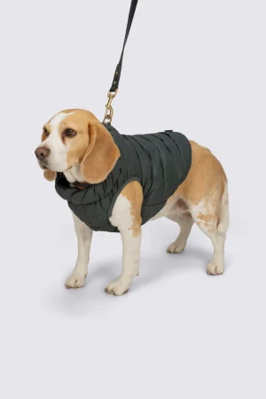 Dog Jackets>Macpac Dog Coat— M