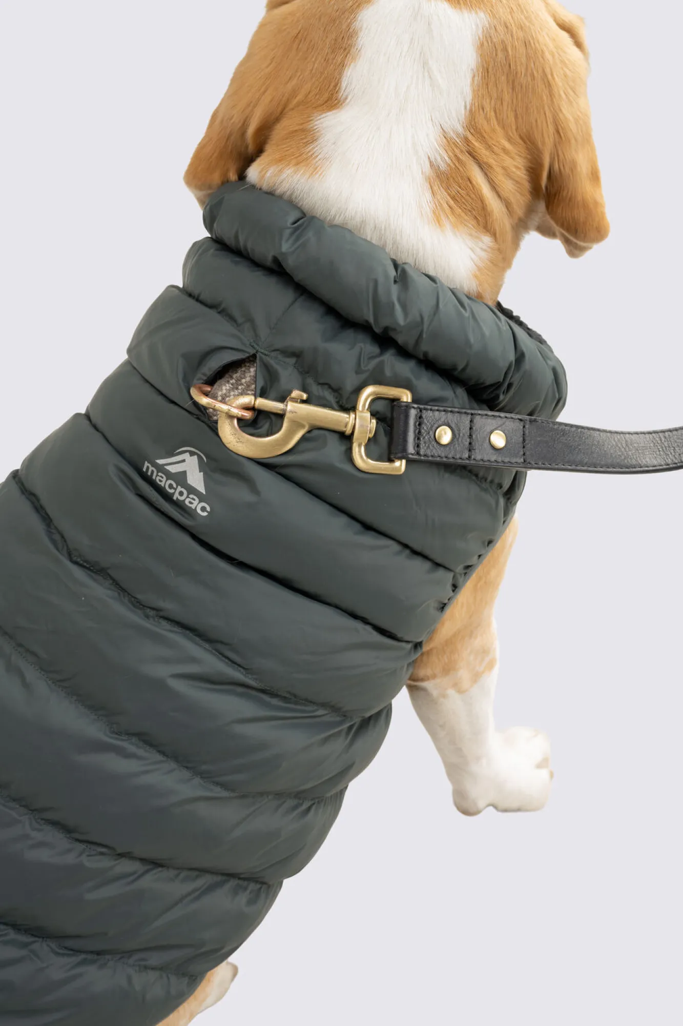 Dog Jackets>Macpac Dog Coat— M