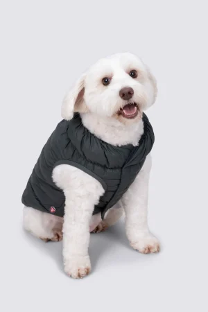 Dog Jackets>Macpac Dog Coat— S
