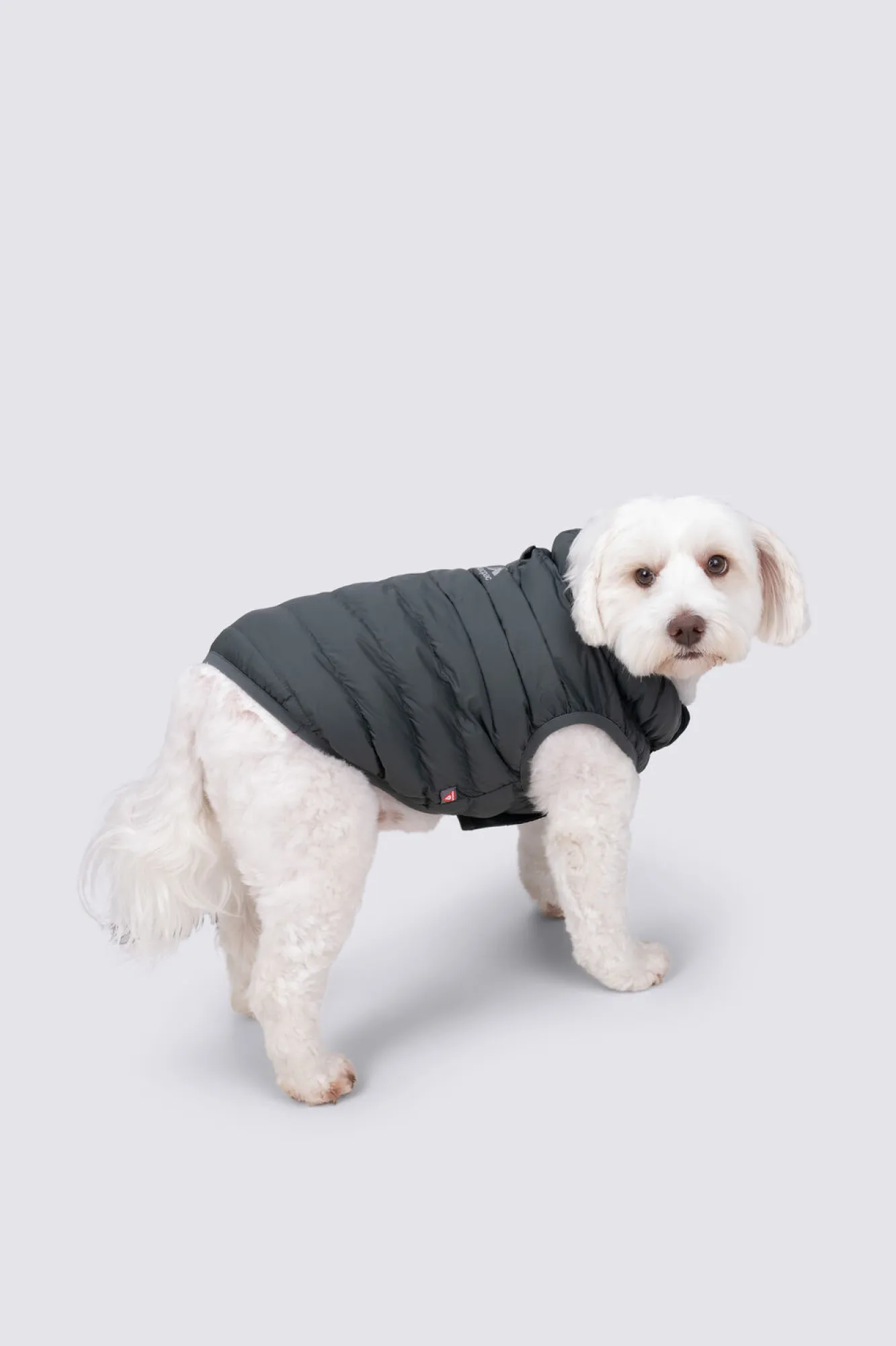 Dog Jackets>Macpac Dog Coat— S