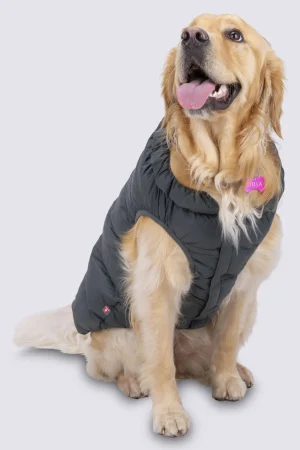 Dog Jackets>Macpac Dog Coat— Xl